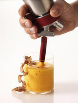 iSi Gourmet Whip Plus RVS 0.25 Liter  – Veelzijdige slagroom- en kooksyfoon
